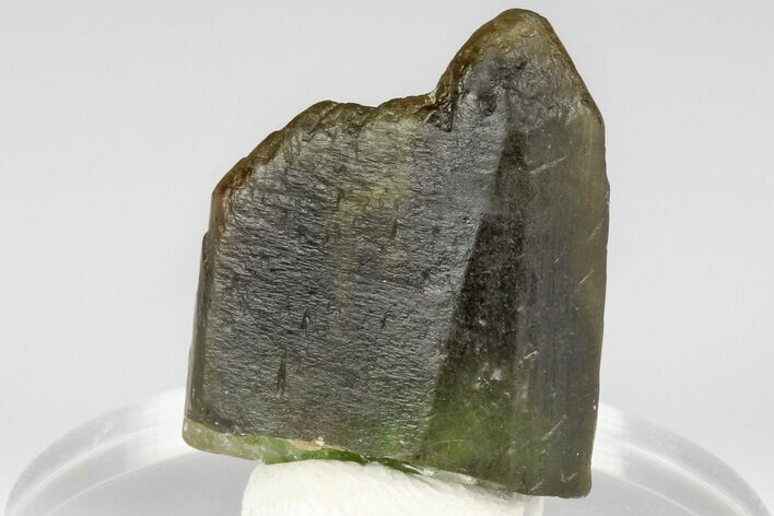 Olivine Peridot Crystal with Ludwigite Inclusions - Pakistan #185270